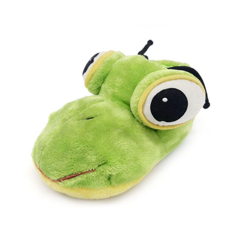 Selipar katak bermata besar